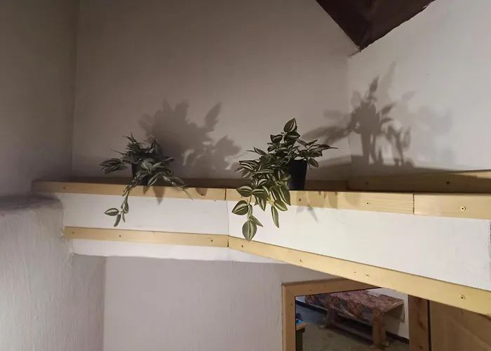 Sigma House אכסניה